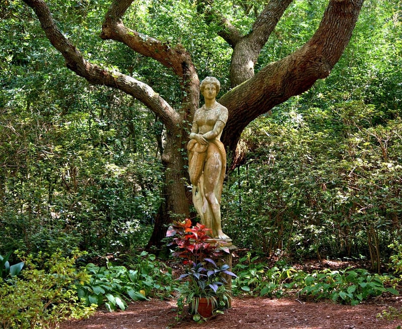 Botanical Sculptures
